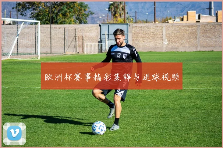 欧洲杯赛事精彩集锦与进球视频
