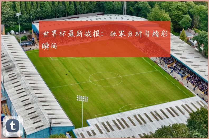 世界杯最新战报：独家分析与精彩瞬间